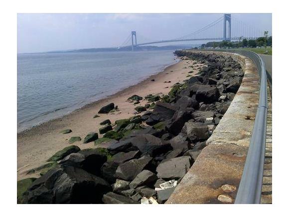 377 Bay 8 St Dyker Heights 11228 New York photo