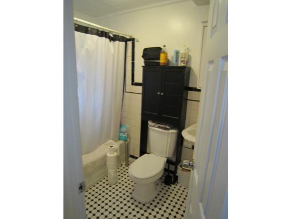 157 President St Carroll Gardens 11231 New York photo