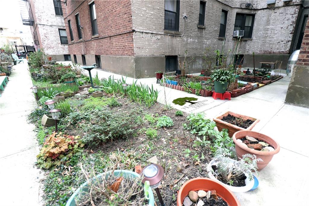 2601 Glenwood Flatbush 11210 New York photo