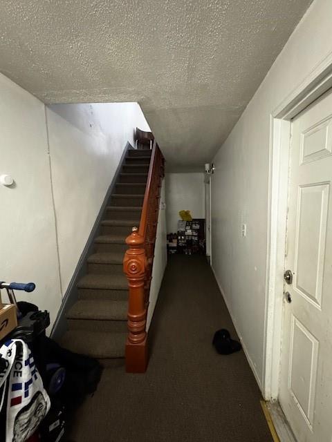 20 Pilling Bushwick 11207 New York photo