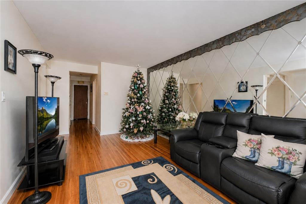 1227 East 55th Flatlands 11234 New York photo
