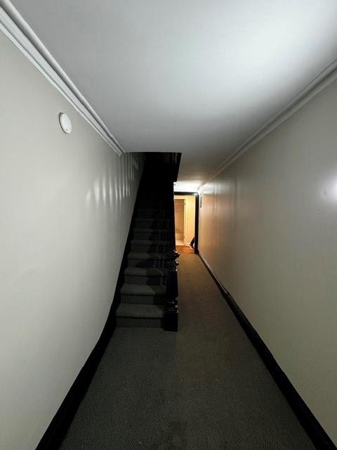 602 Henry Carroll Gardens 11231 New York photo